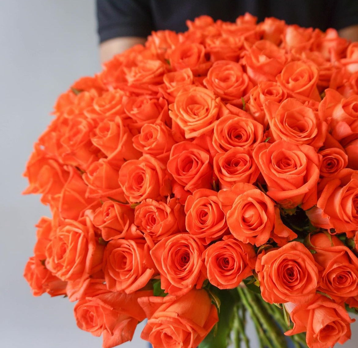 Bouquet of orange roses