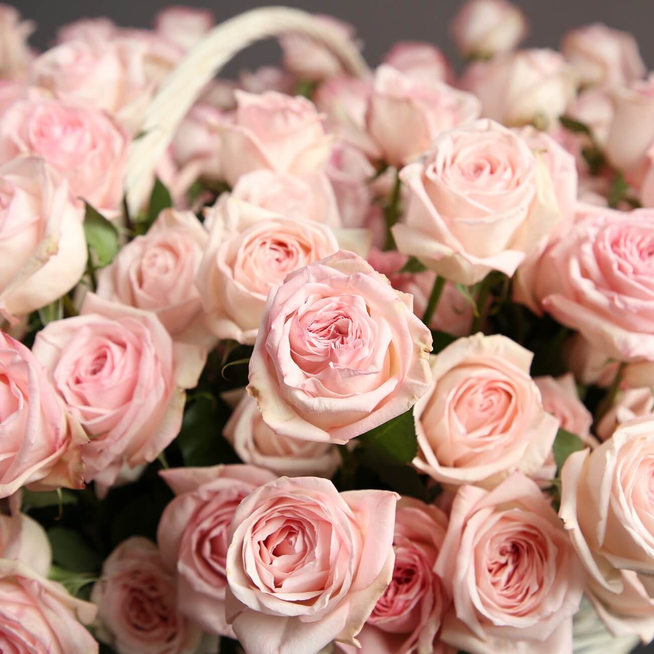 BASKET WITH FLOWERS "301 ROSES"(300 roses on the photo)