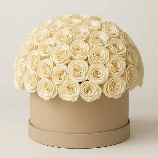 Forever roses (100 roses)