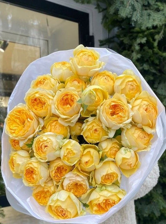 Yellow peony roses