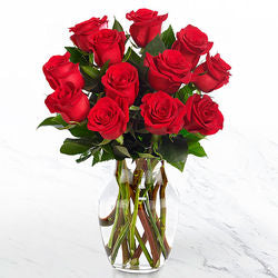 Red roses (vase included)